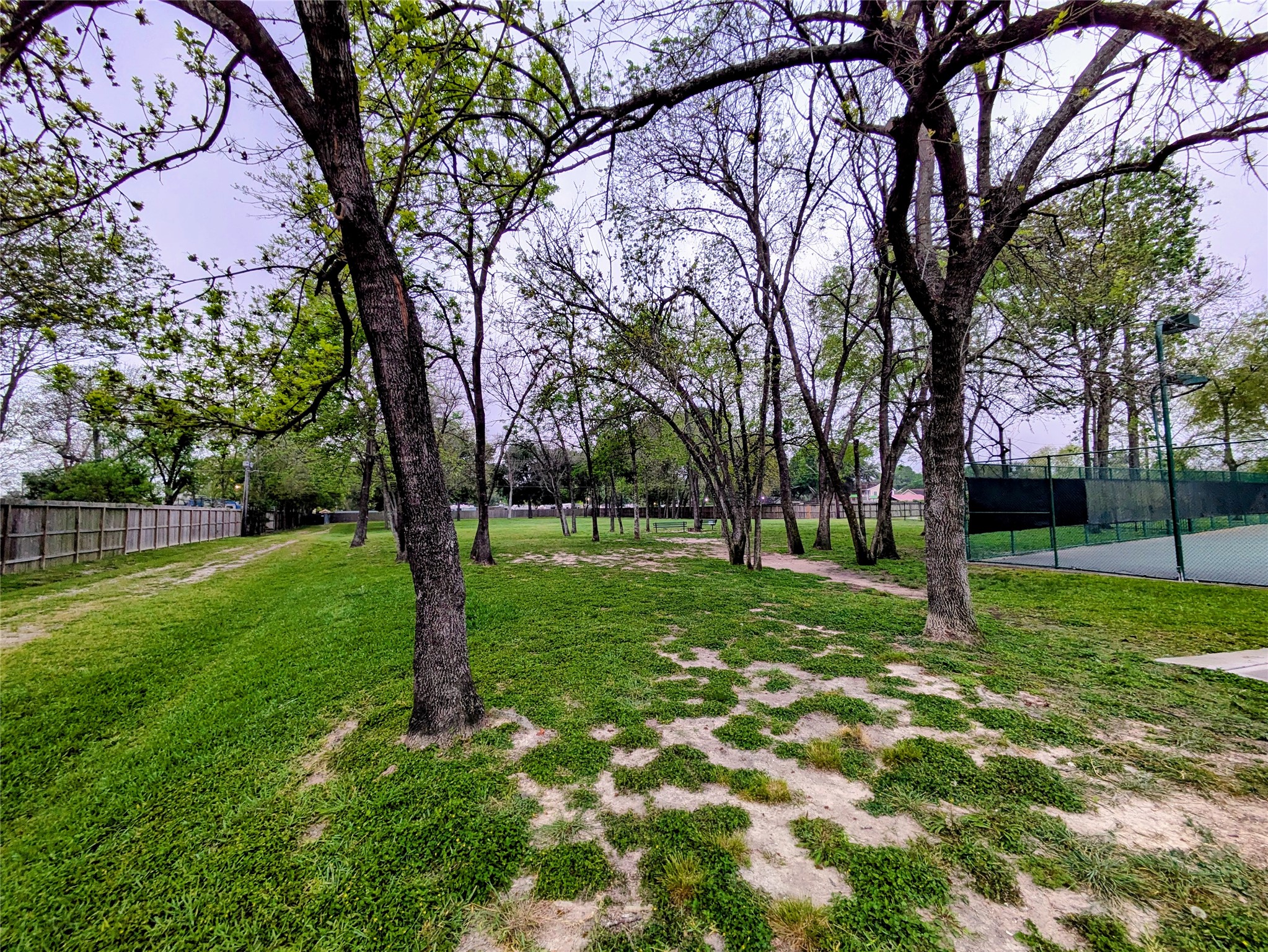 9222 Symphonic Lane Houston, TX 77040 - Photo 26 of 33 Dog Park in Community