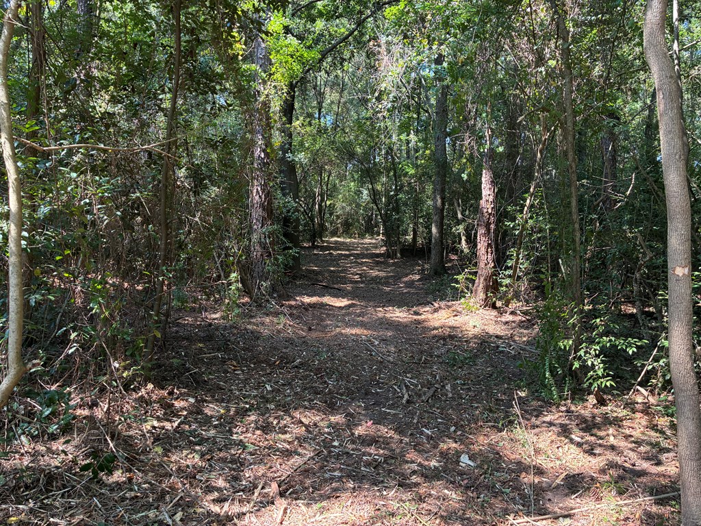Lot 3 Hampton Way Dothan, AL 36305 - Photo 7 of 11