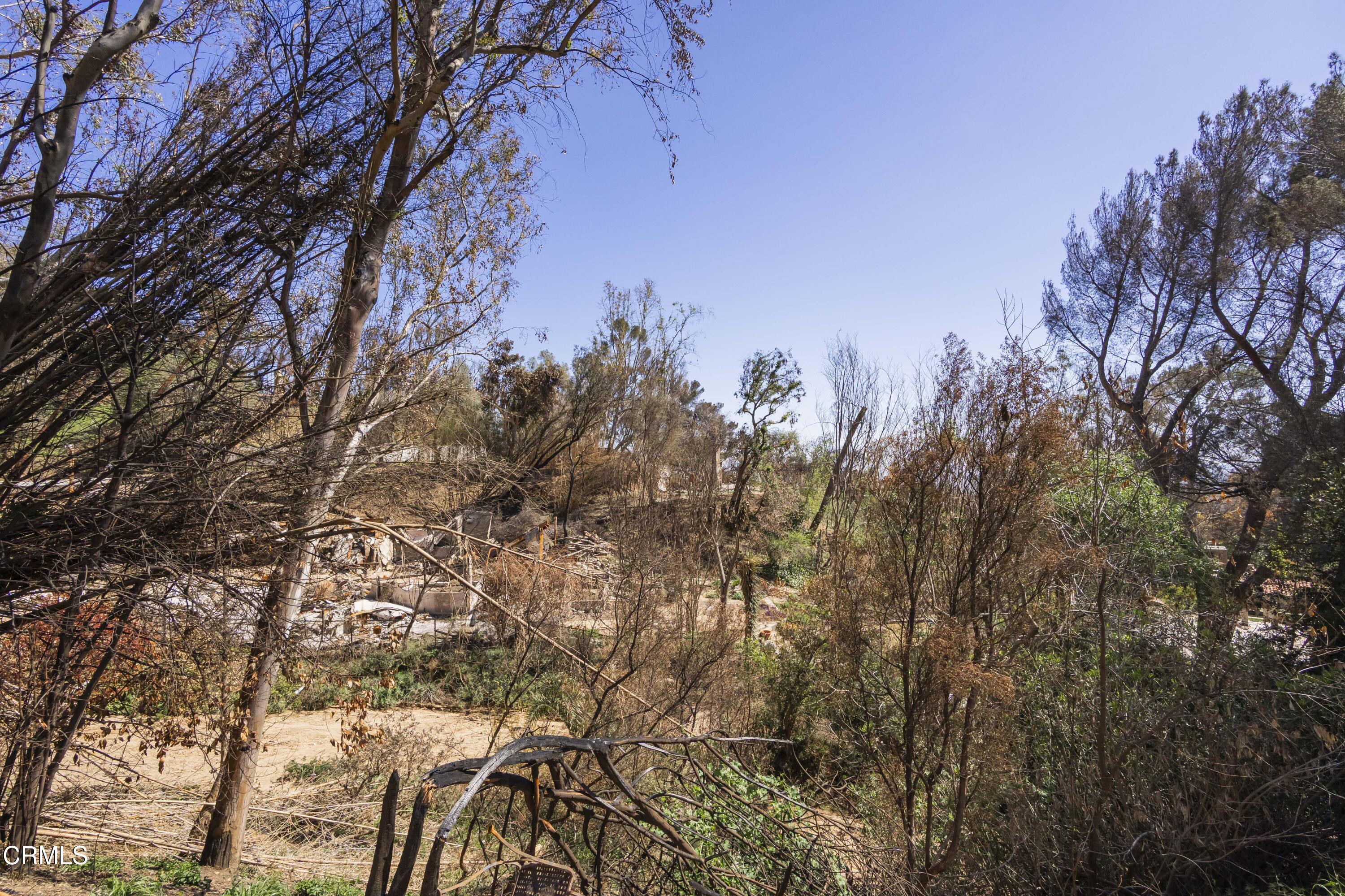 2876 Windfall Avenue Altadena, CA 91001 - Photo 18 of 37 2876 Windfall Ave Altadena-116