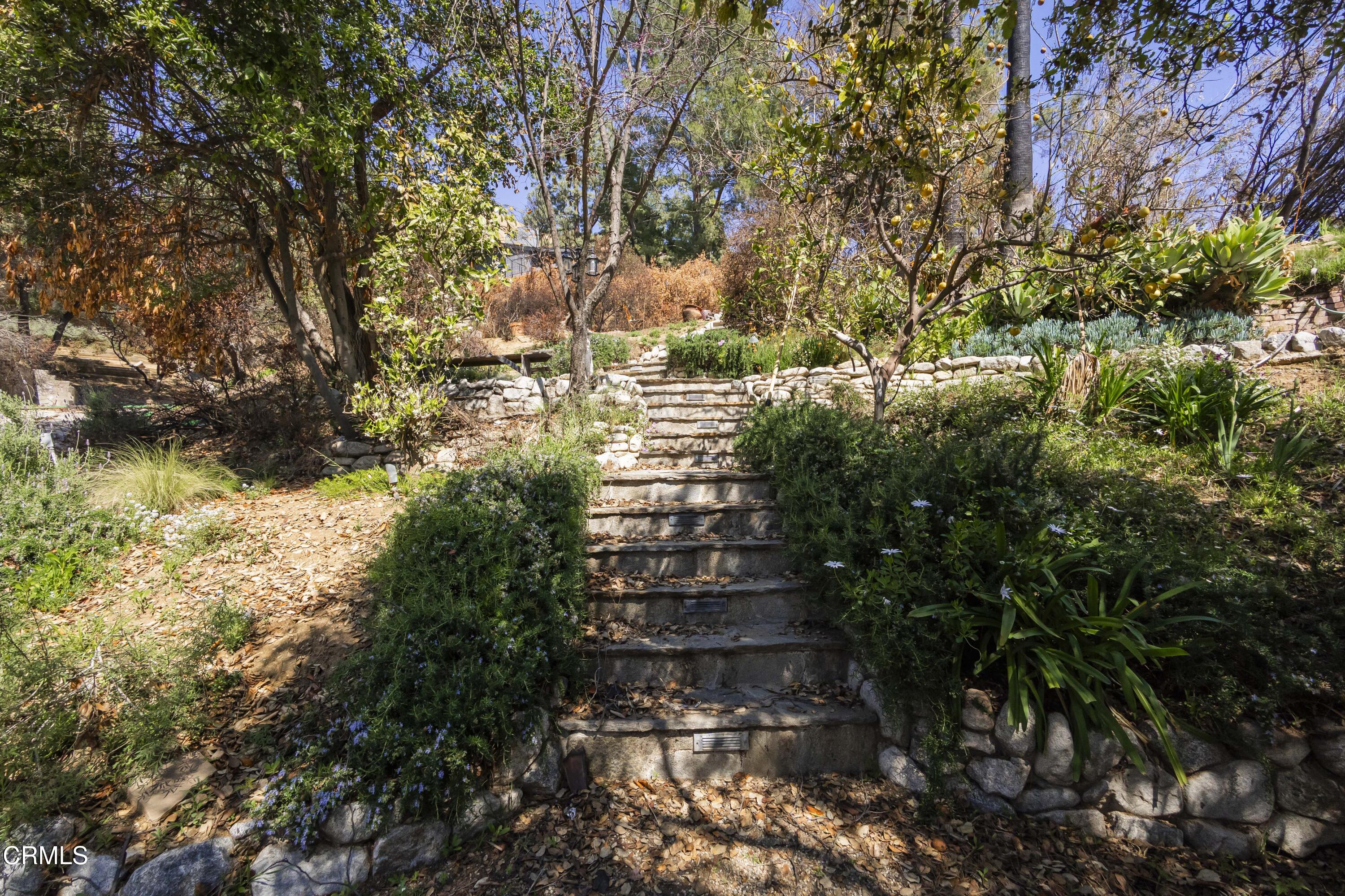 2876 Windfall Avenue Altadena, CA 91001 - Photo 8 of 37 2876 Windfall Ave Altadena-105