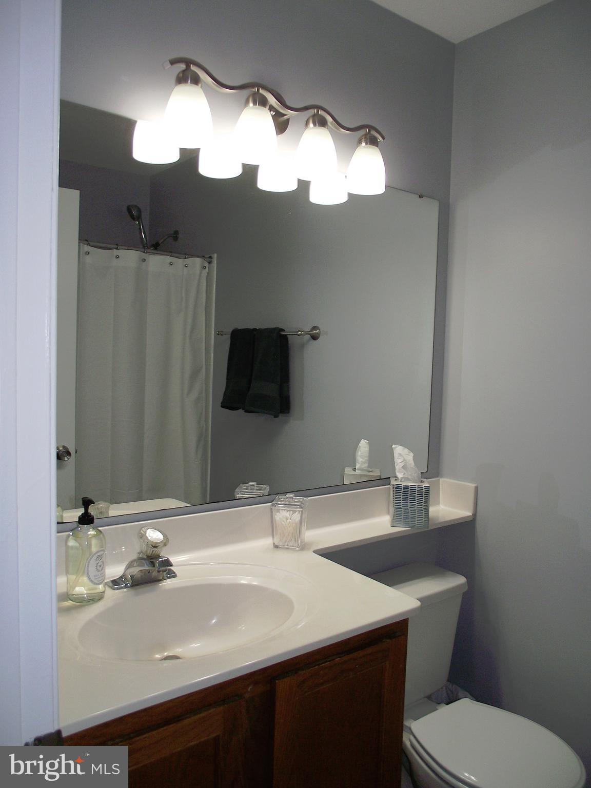 13548 Ruddy Duck Road Clifton, VA 20124 - Photo 11 of 30 Bath (Master)