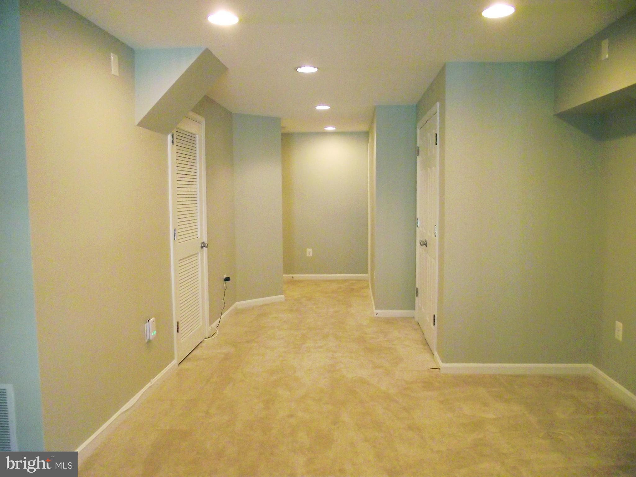 13548 Ruddy Duck Road Clifton, VA 20124 - Photo 20 of 30 Basement