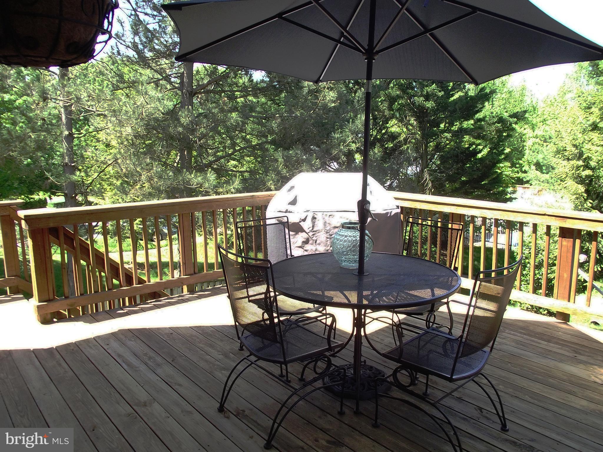 13548 Ruddy Duck Road Clifton, VA 20124 - Photo 23 of 30 Exterior (Rear)