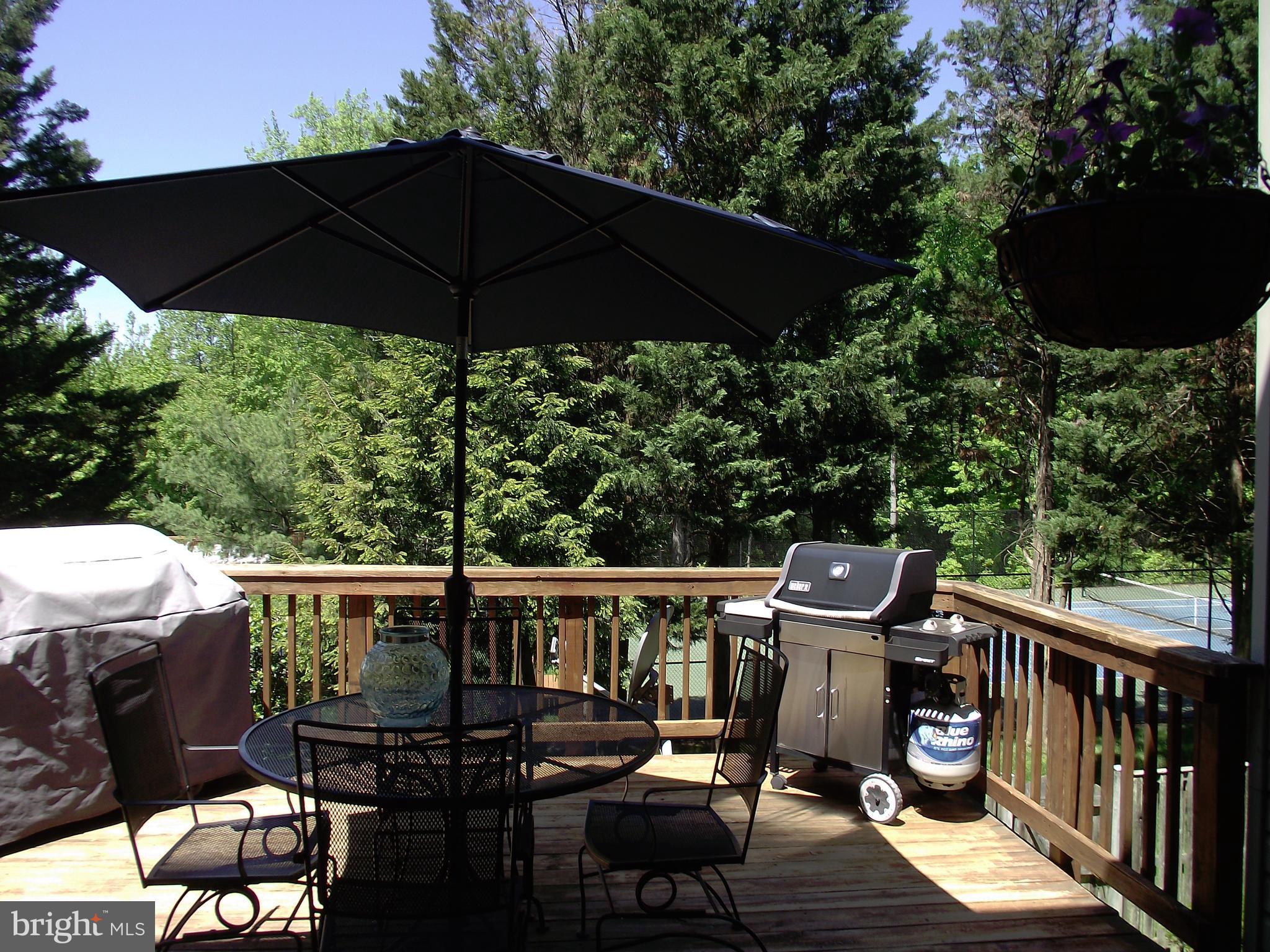 13548 Ruddy Duck Road Clifton, VA 20124 - Photo 24 of 30 Exterior (Rear)