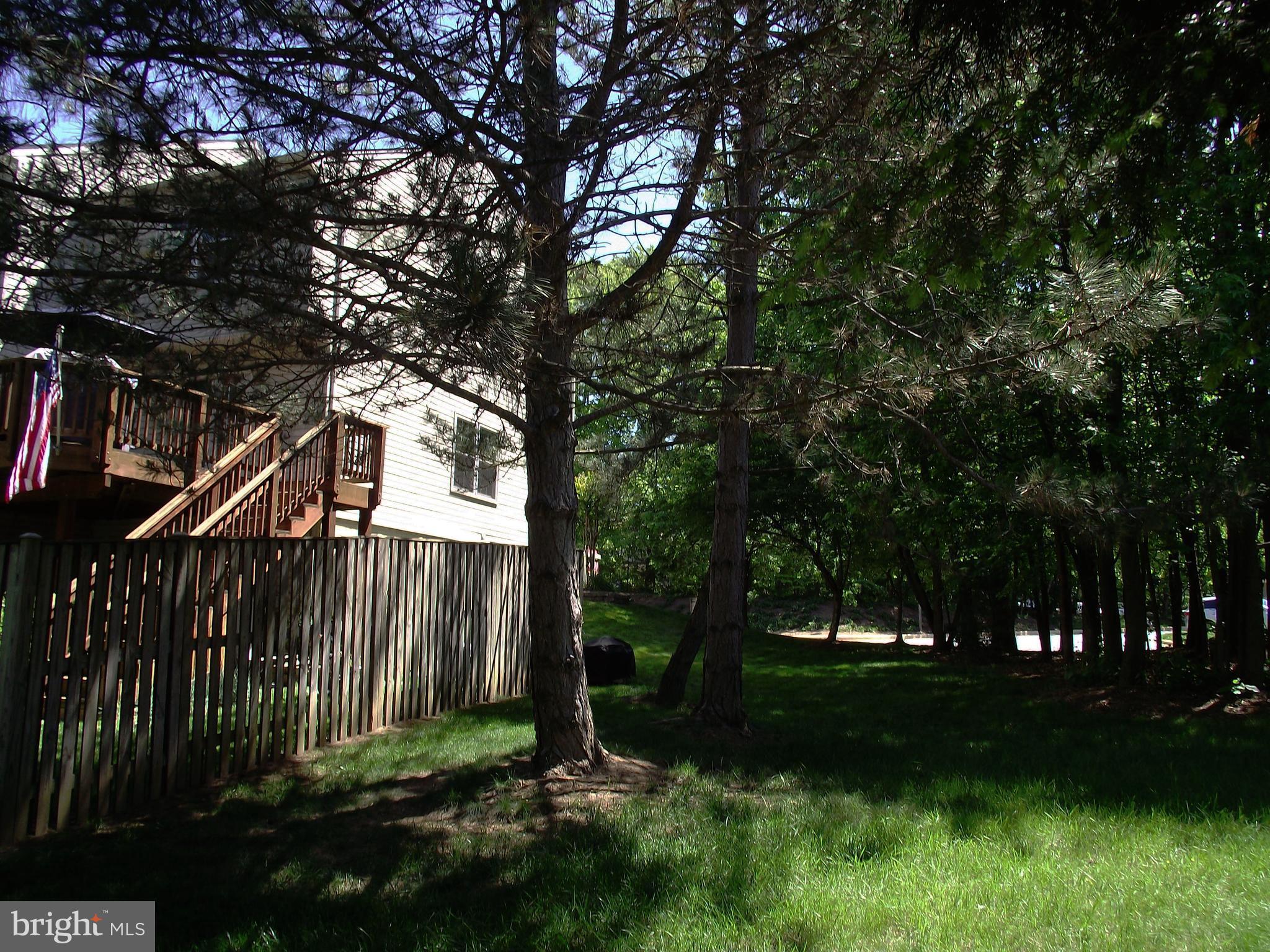 13548 Ruddy Duck Road Clifton, VA 20124 - Photo 28 of 30 Exterior (Rear)