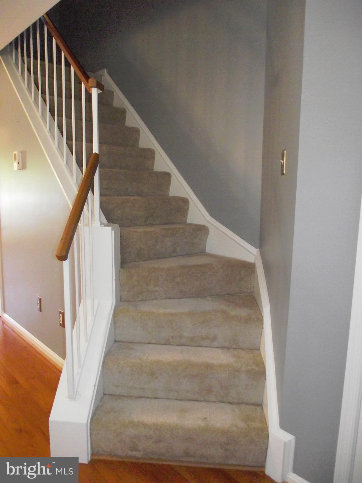 13548 Ruddy Duck Road Clifton, VA 20124 - Photo 8 of 30 Stairway to upper level