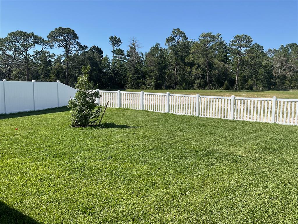 3802 Benham Rise Road Spring Hill, FL 34609 - Photo 3 of 8