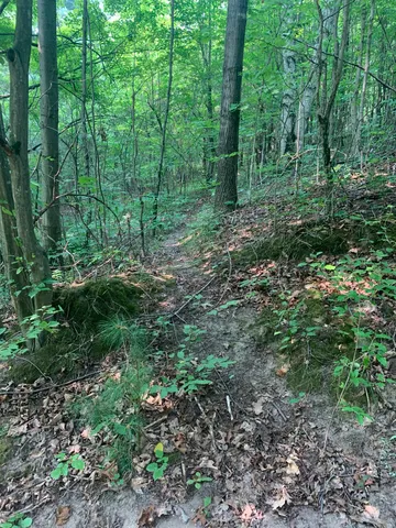 $100,000 | 10240 South 190th Avenue, Reed City, MI 49677