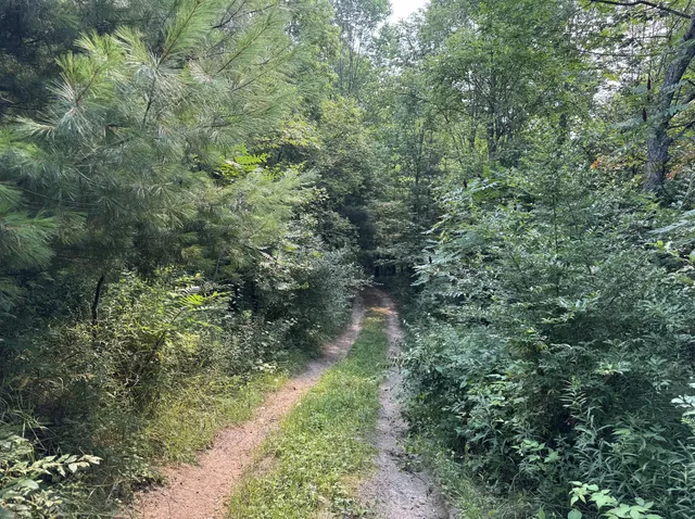 $100,000 | 10240 South 190th Avenue, Reed City, MI 49677