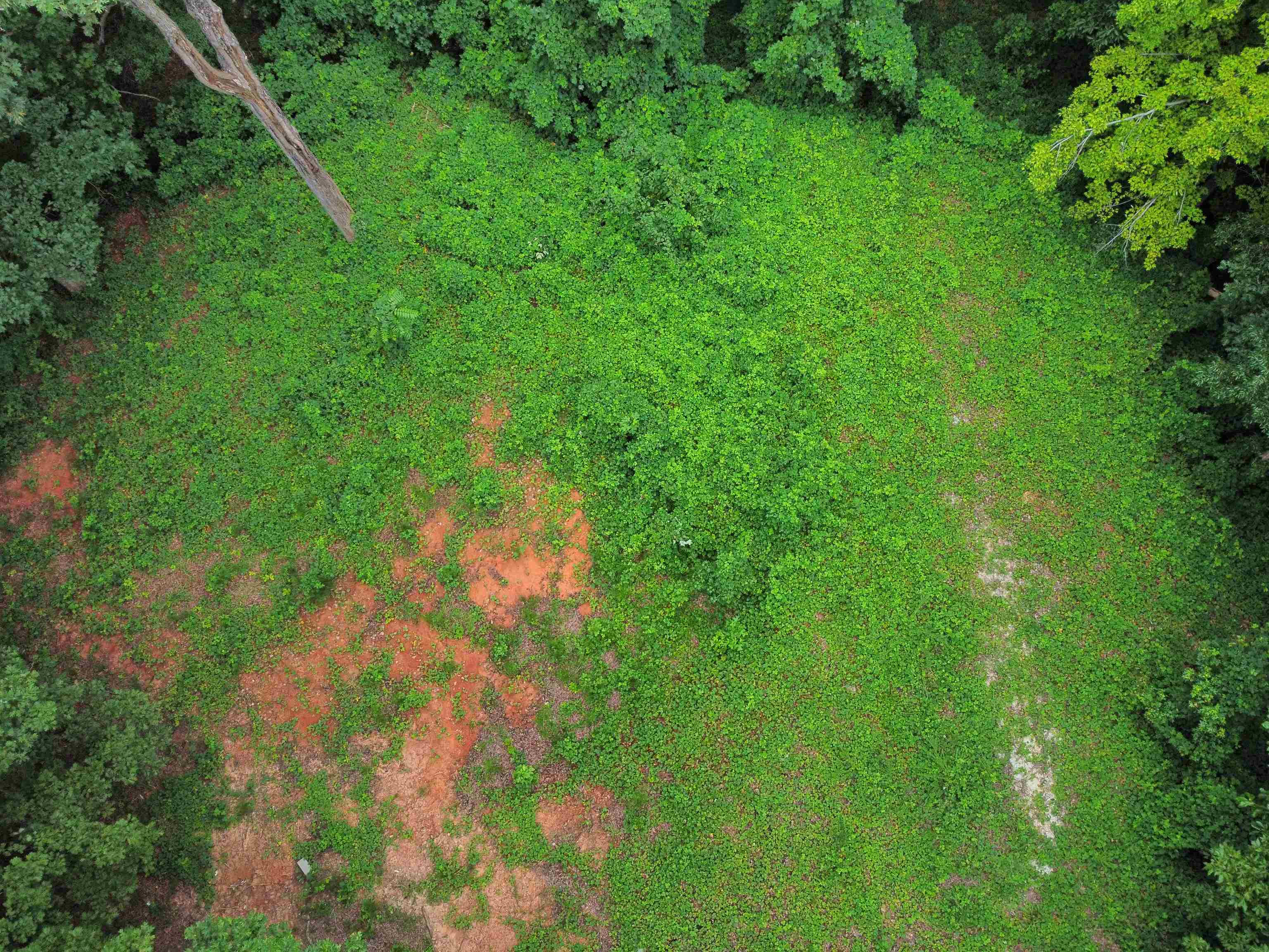 200 Goforth Road Landrum, SC 29356 - Photo 3 of 13 Gallery Image 3
