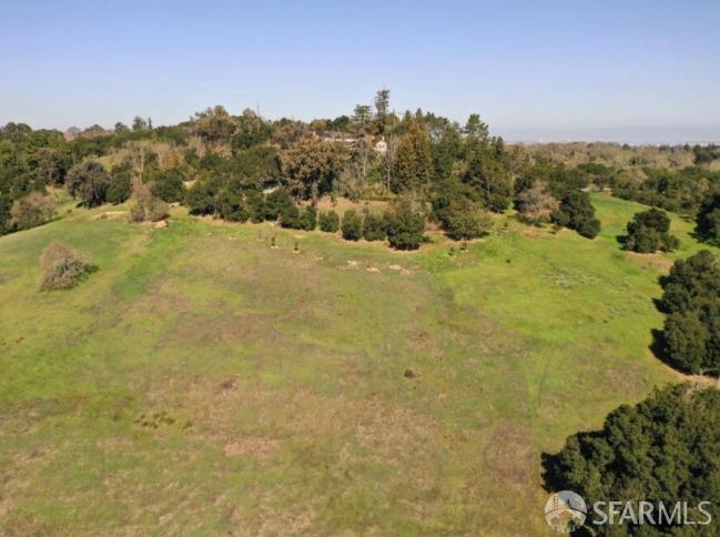 387 Moore Road Atherton, CA 94027 - Photo 17 of 25 a view of a yard with a mountain