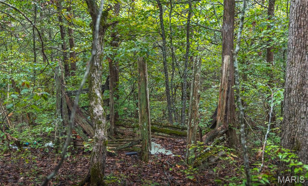 5071 Mill Rock Road Gerald, MO 63037 - Photo 24 of 42 Gallery Image 24
