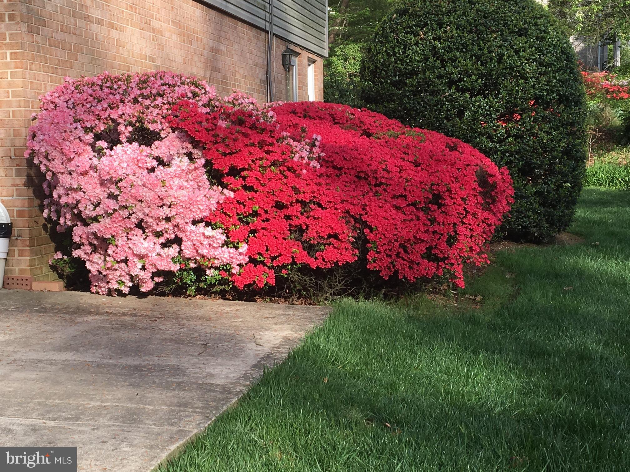7114 Devonshire Road Alexandria, VA 22307 - Photo 26 of 27 Exterior (General)
