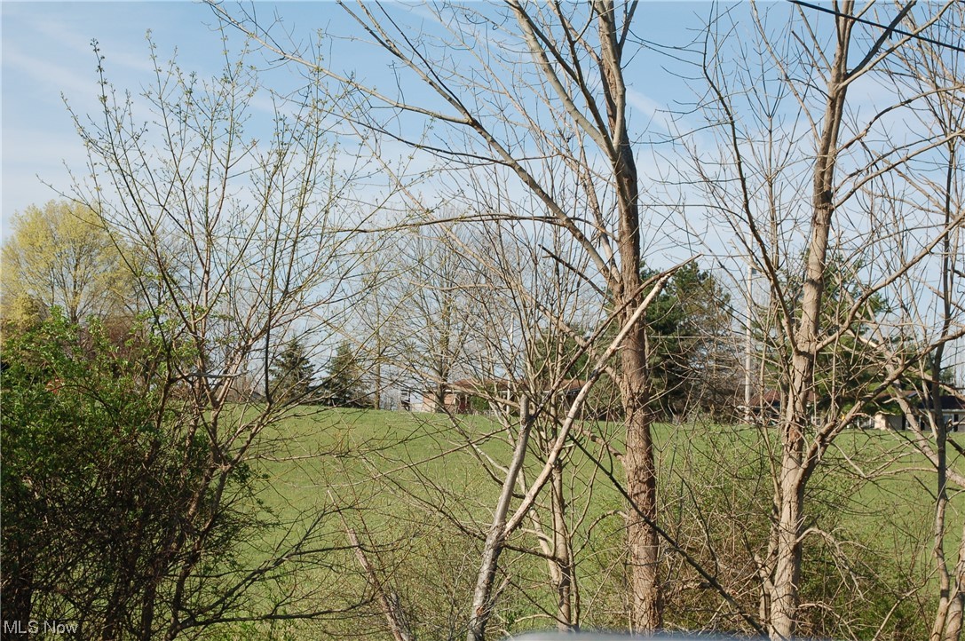 Ryan Road Medina, OH 44256 - Photo 15 of 15 Gallery Image 15