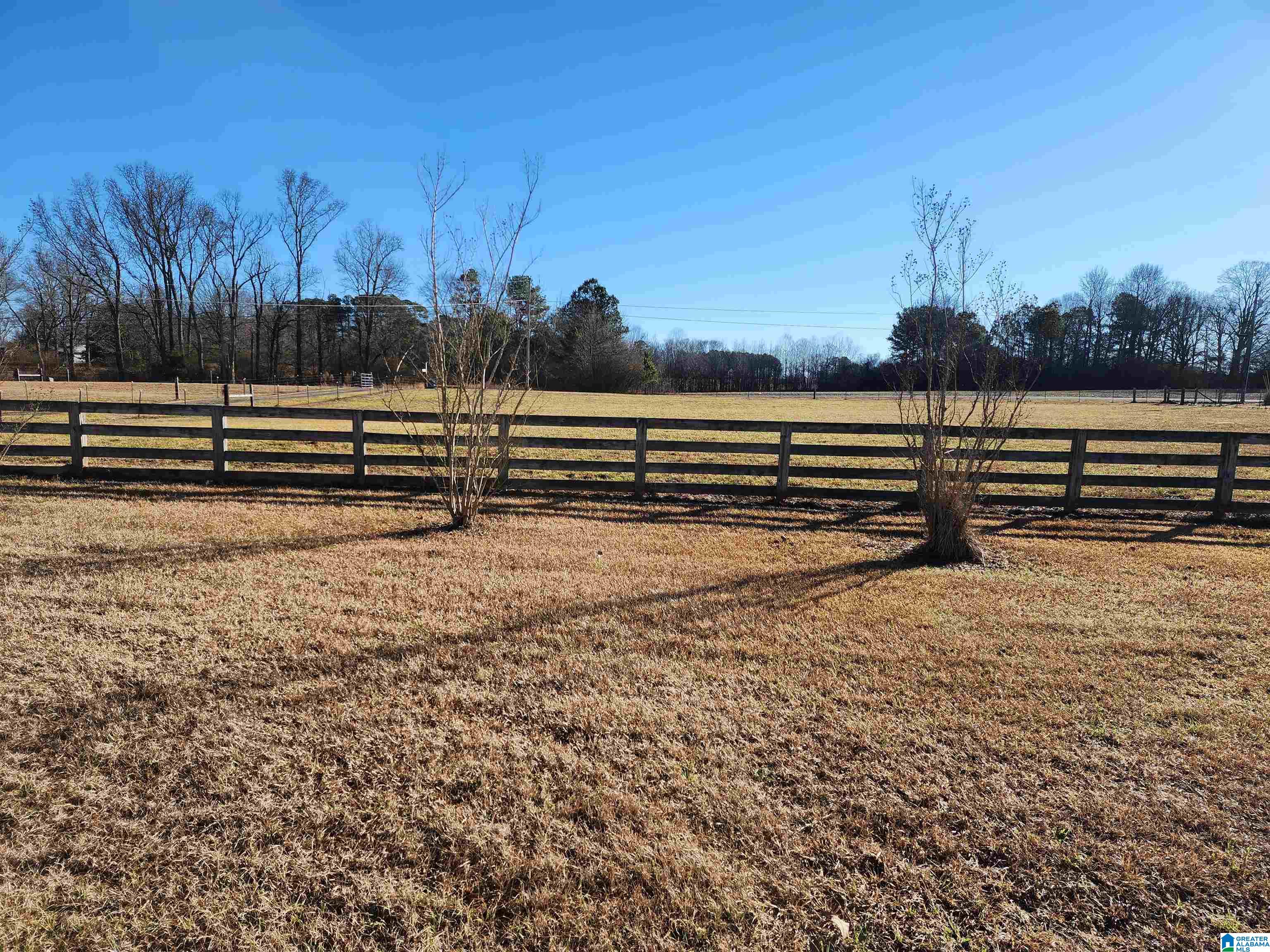 175 McCoy Road Albertville, AL 35950 - Photo 16 of 20