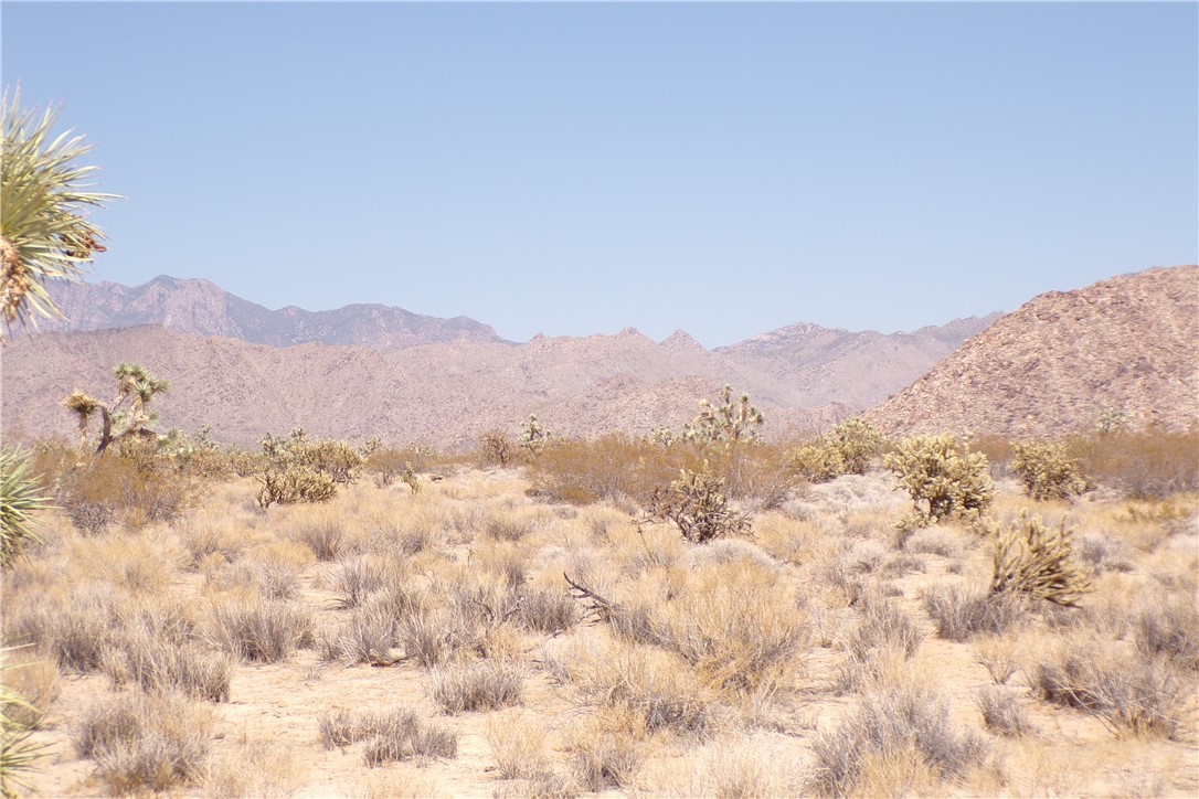 11900 South Dateland Road Yucca, AZ 86438 - Photo 2 of 7 a view of a mountain range with an trees in the background