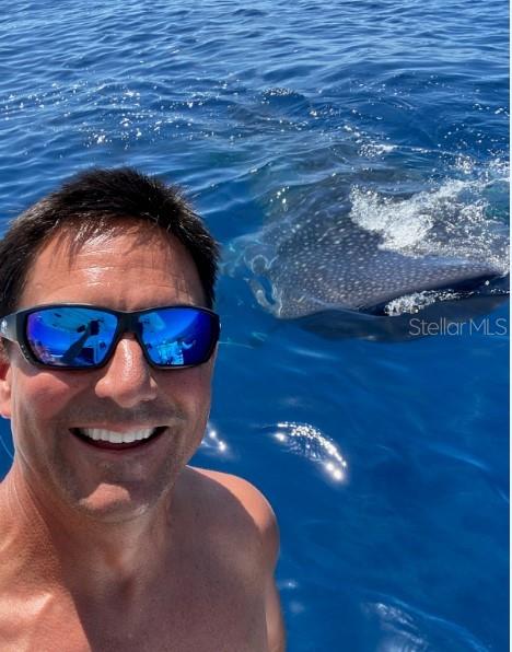 6304 Beechwood Avenue Sarasota, FL 34231 - Photo 39 of 41