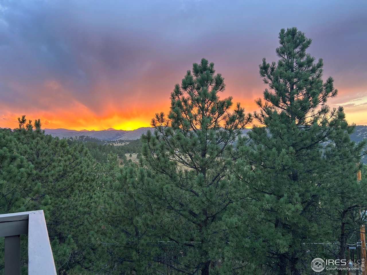 65 Bristlecone Way Boulder, CO 80304 - Photo 3 of 49 a view of a yard