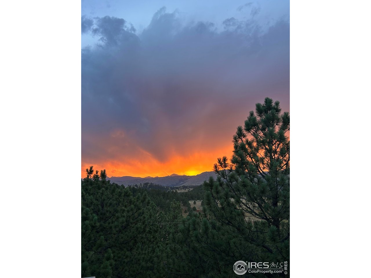 65 Bristlecone Way Boulder, CO 80304 - Photo 44 of 49 a view of a small yard