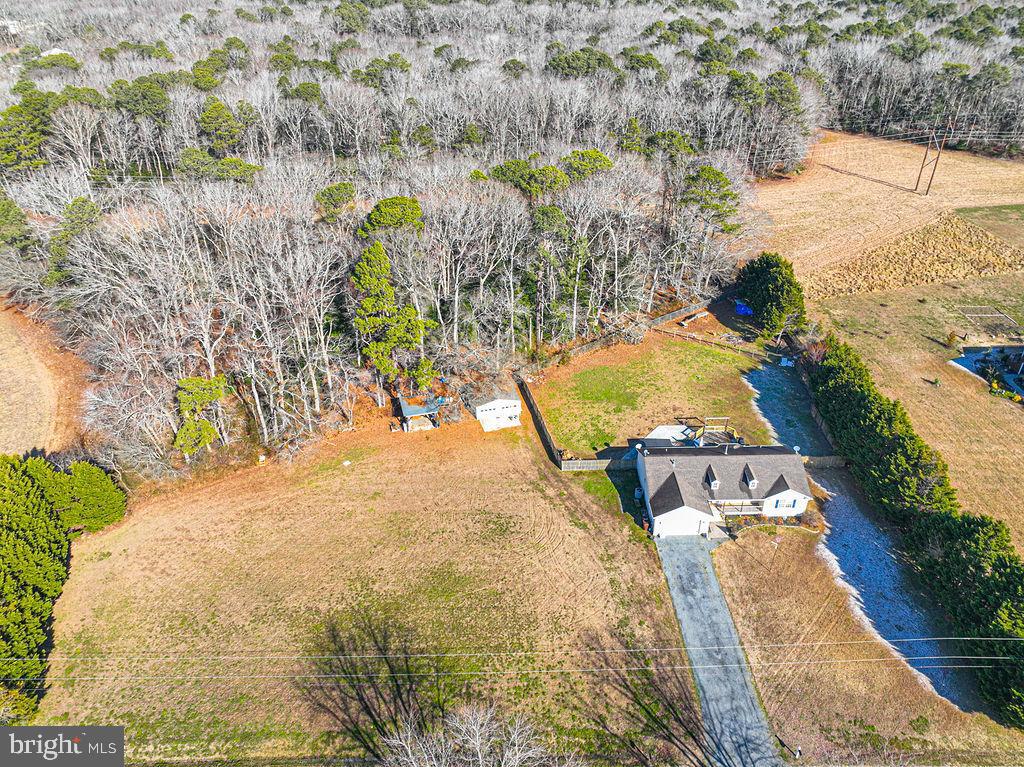 11901 Back Creek Road Bishopville, MD 21813 - Photo 43 of 69