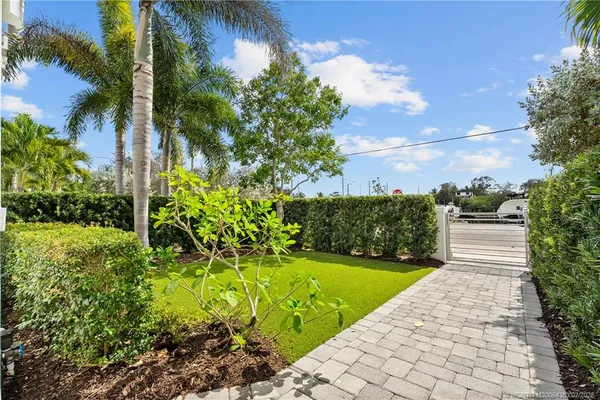 a view of a garden with plants