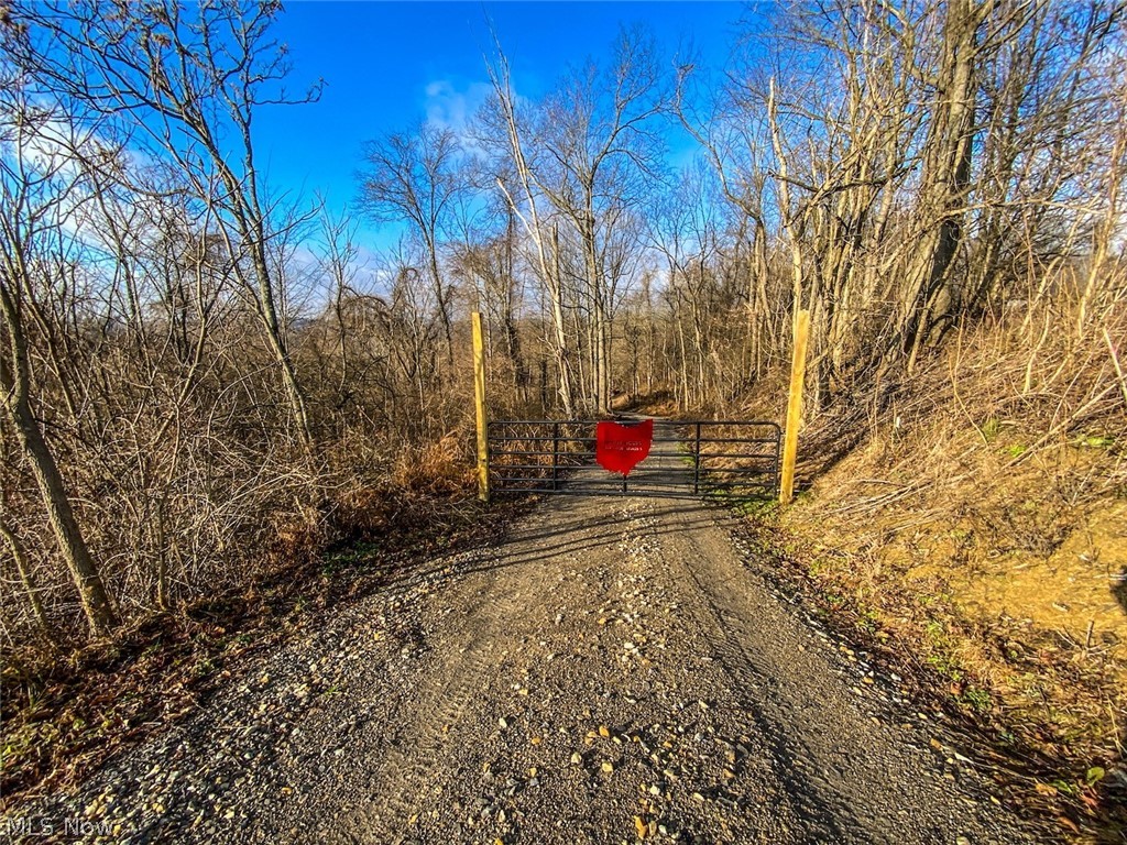 0 New Cut Road Shadyside, OH 43947 - Photo 4 of 31 Gallery Image 4