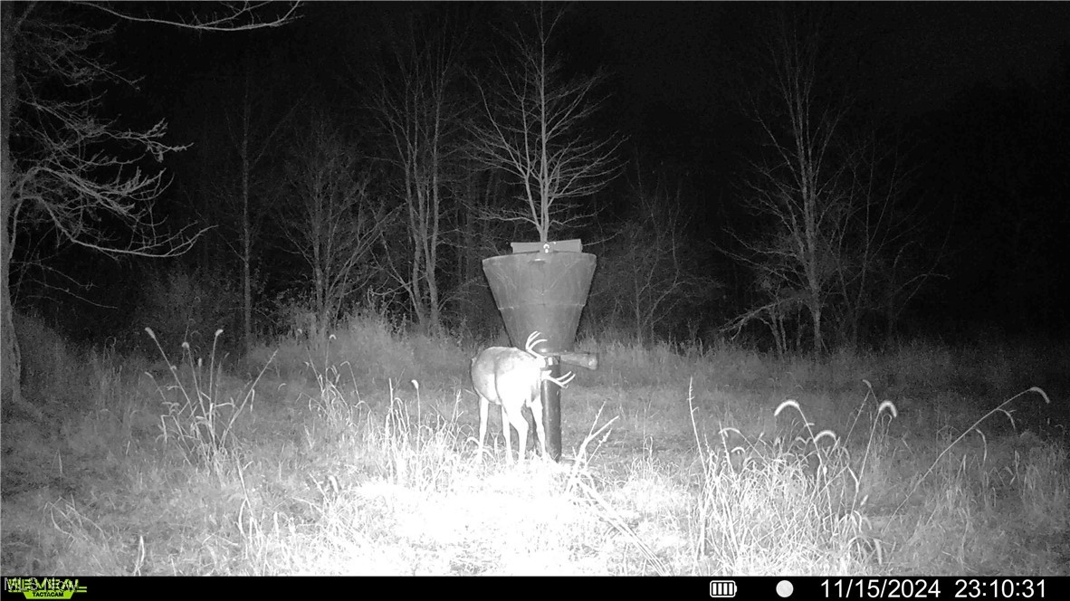 Sleepy Elm Road Southwest Port Washington, OH 43837 - Photo 29 of 32 Gallery Image 29
