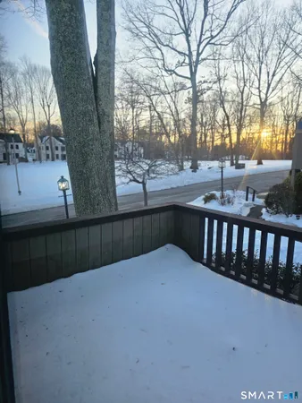 a view of a yard with tree s