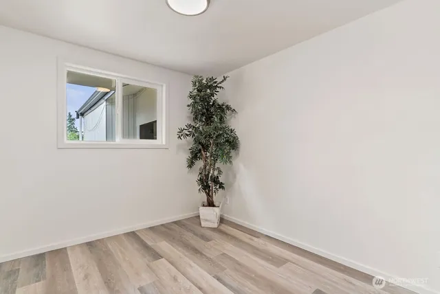 a view of an empty room with a potted plant