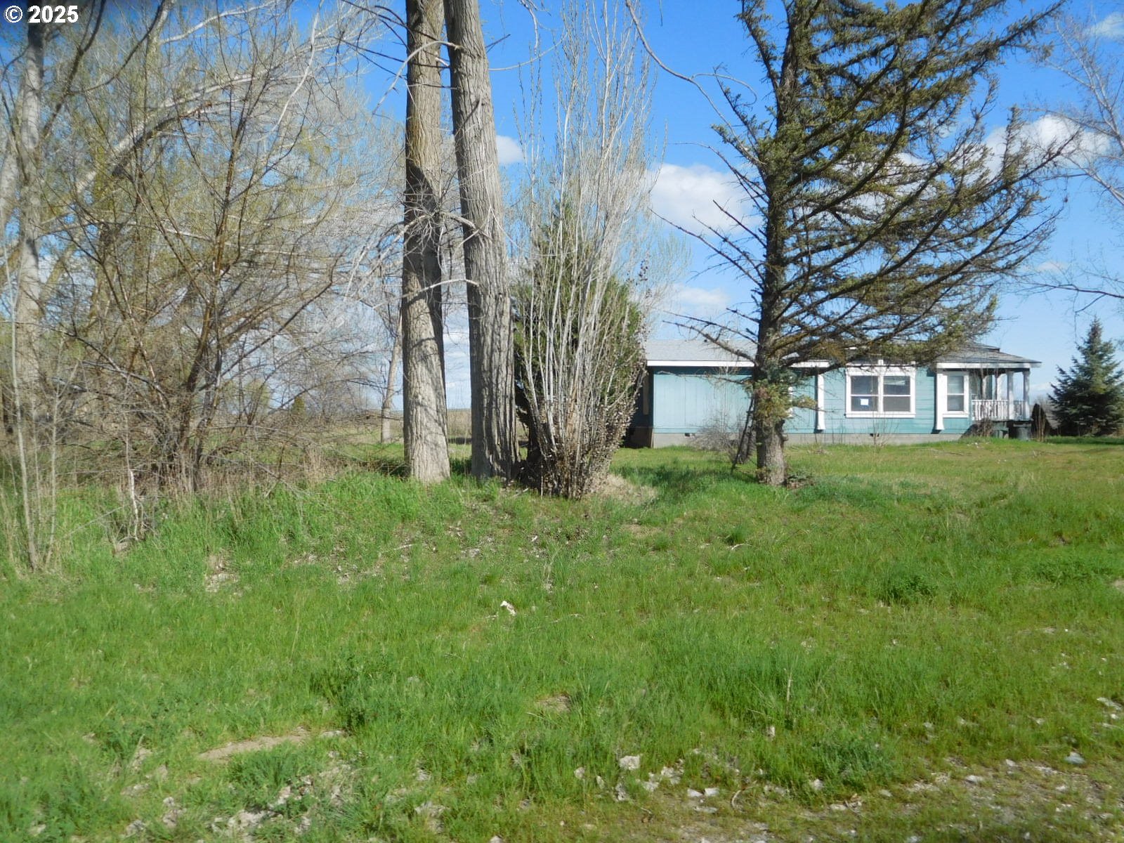 595 South E 13th Irrigon, OR 97844 - Photo 2 of 31 a view of a backyard with large trees
