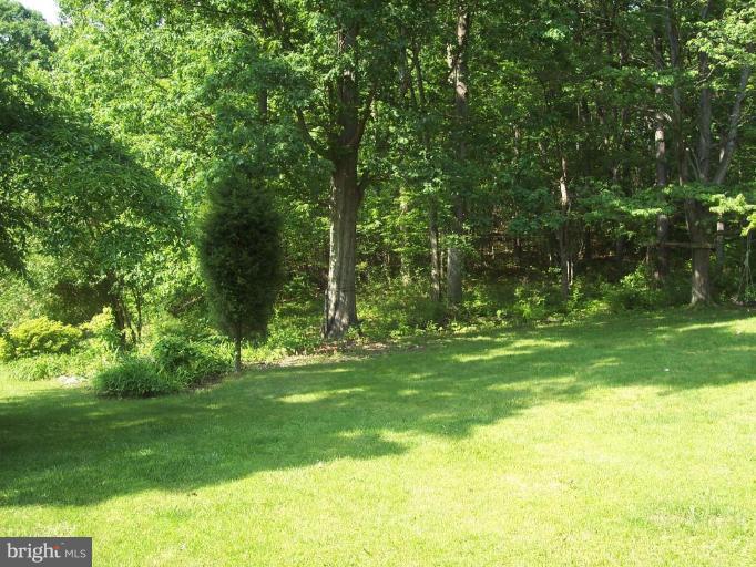 253 Silver Run Valley Road Westminster, MD 21158 - Photo 5 of 16 Back yard