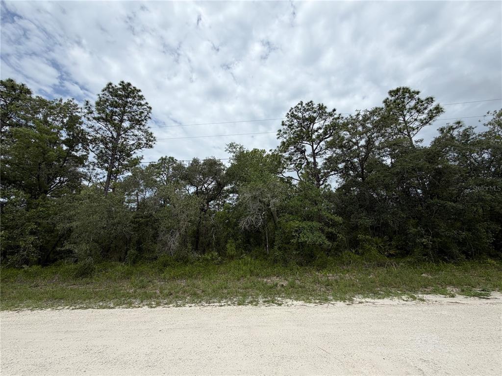 18011 Nutcracker Road Weeki Wachee, FL 34614 - Photo 8 of 10