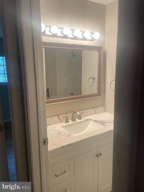 216 Maple Street Middleburg, VA 20117 - Photo 5 of 9 Luxurious bathroom