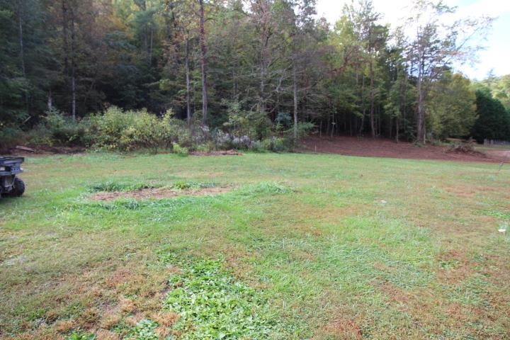 852 Wears Valley Road Townsend, TN 37882 - Photo 7 of 35 Gallery Image 7