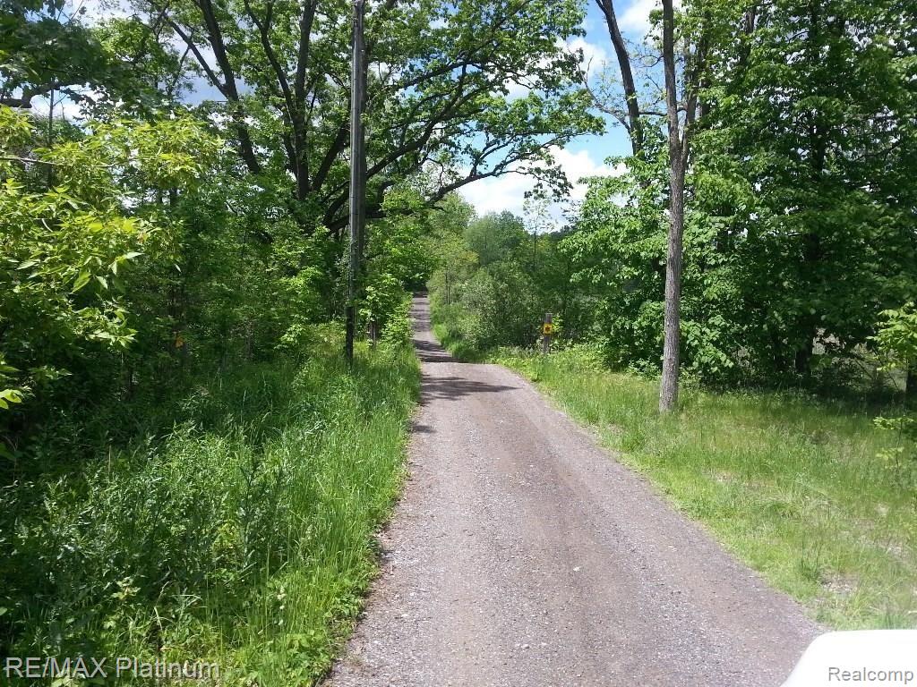 6885 Milford Road Holly, MI 48442 - Photo 84 of 88 Milford Driveway.jpg