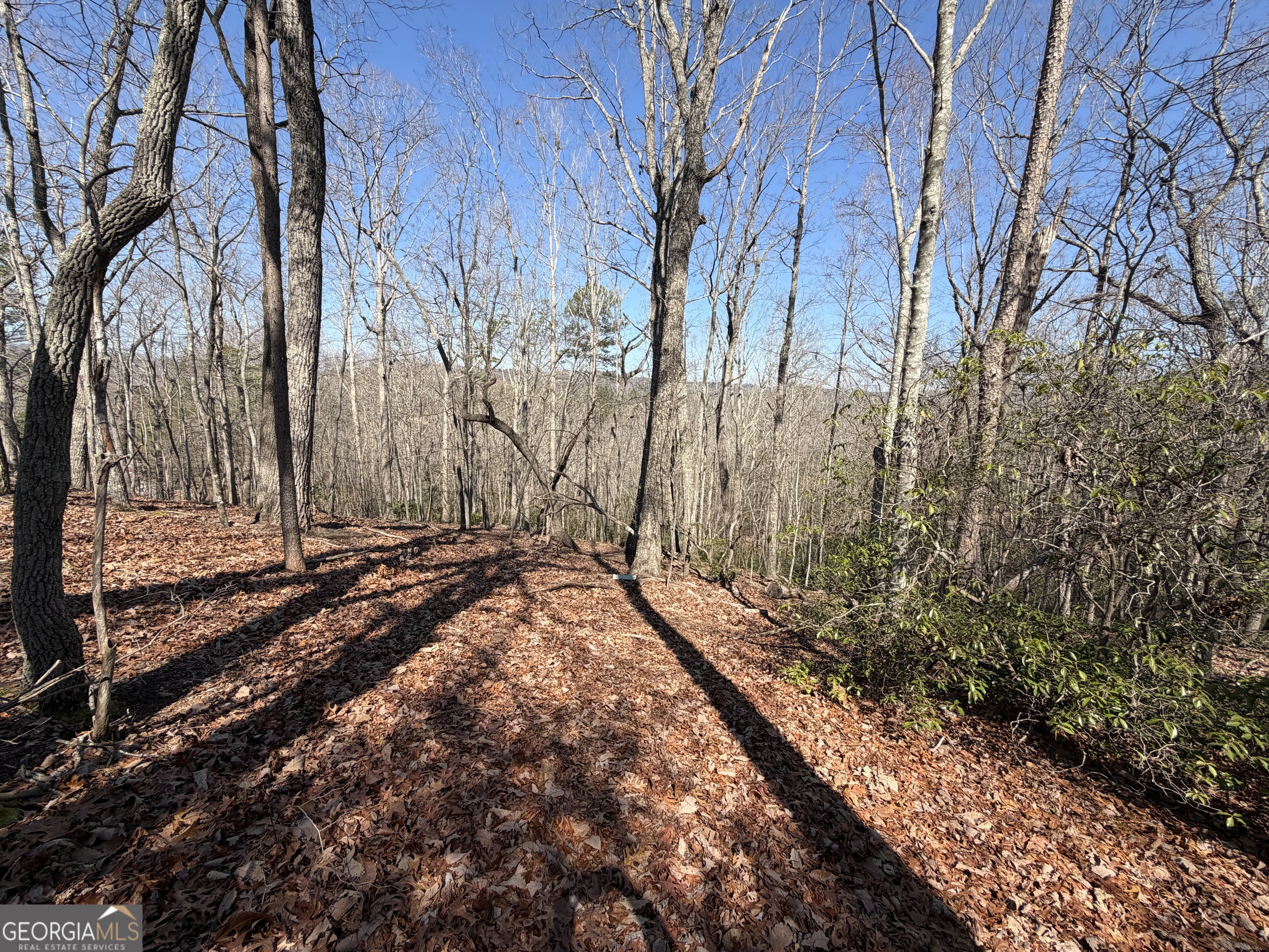 0 Tanager Trail Alto, GA 30510 - Photo 3 of 12 a view of a backyard of the house