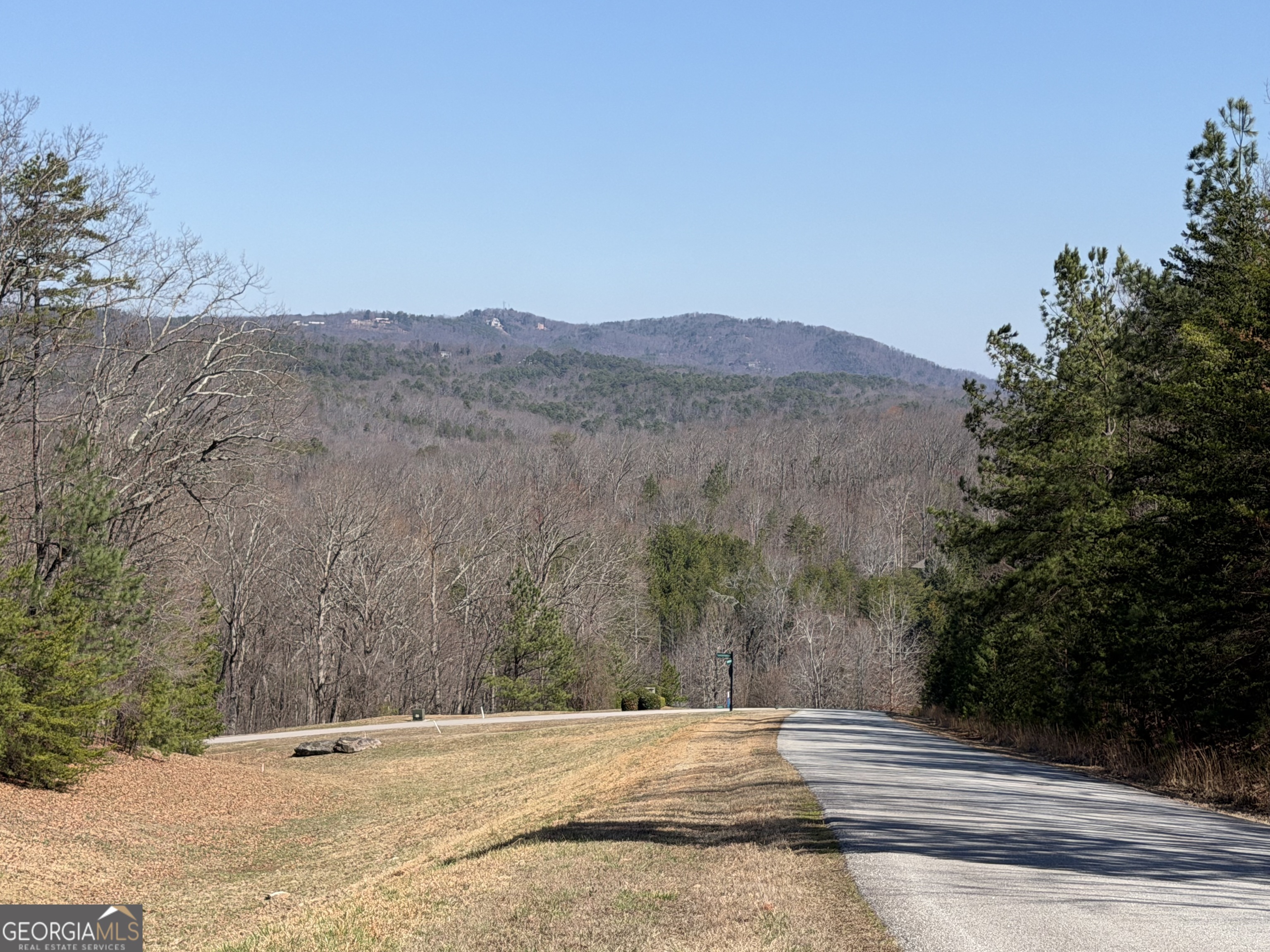 0 Tanager Trail Alto, GA 30510 - Photo 7 of 12 a view of road and mountains