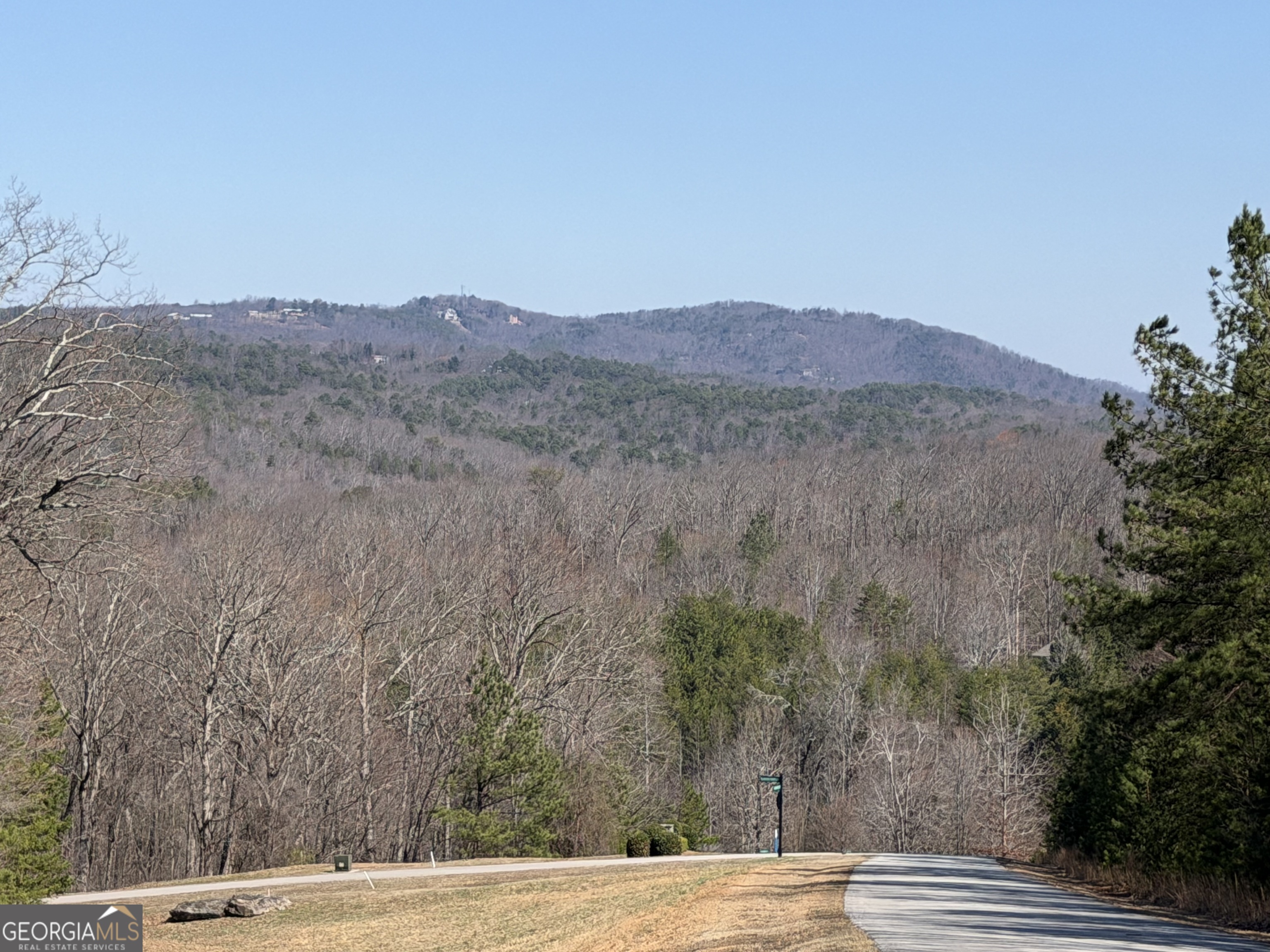 0 Tanager Trail Alto, GA 30510 - Photo 8 of 12 a view of a dry yard with mountain