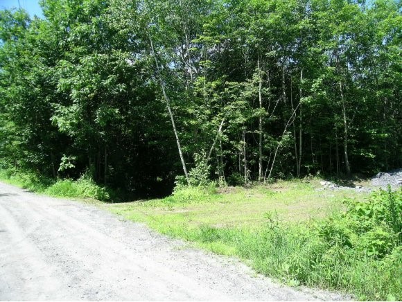 6 Sharon Meadow Road Sharon, VT 05065 - Photo 1 of 1 Gallery Image 1