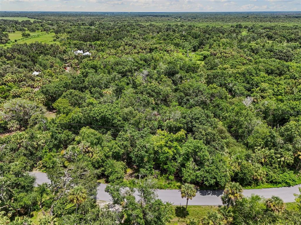 0 Hidden River Road Sarasota, FL 34240 - Photo 11 of 18 a view of a lush green forest