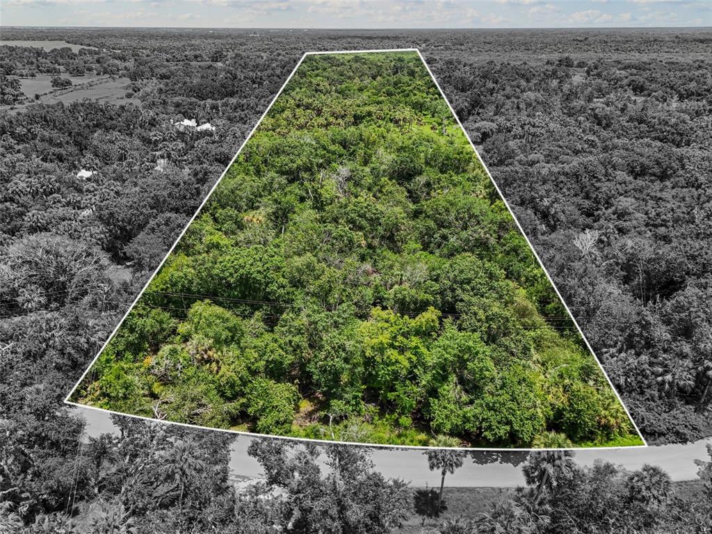 0 Hidden River Road Sarasota, FL 34240 - Photo 7 of 18 a view of a yard with plants
