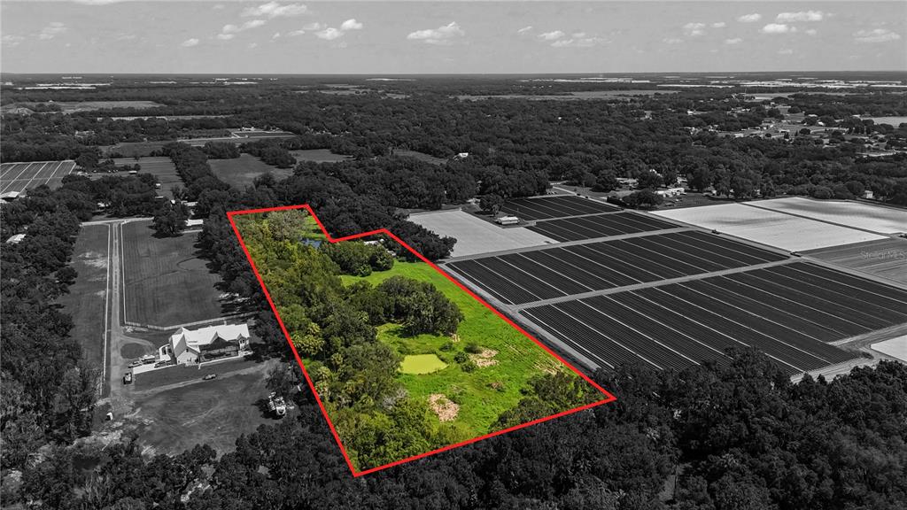 1609 East Sparkman Road Plant City, FL 33566 - Photo 1 of 1 8.9 acres