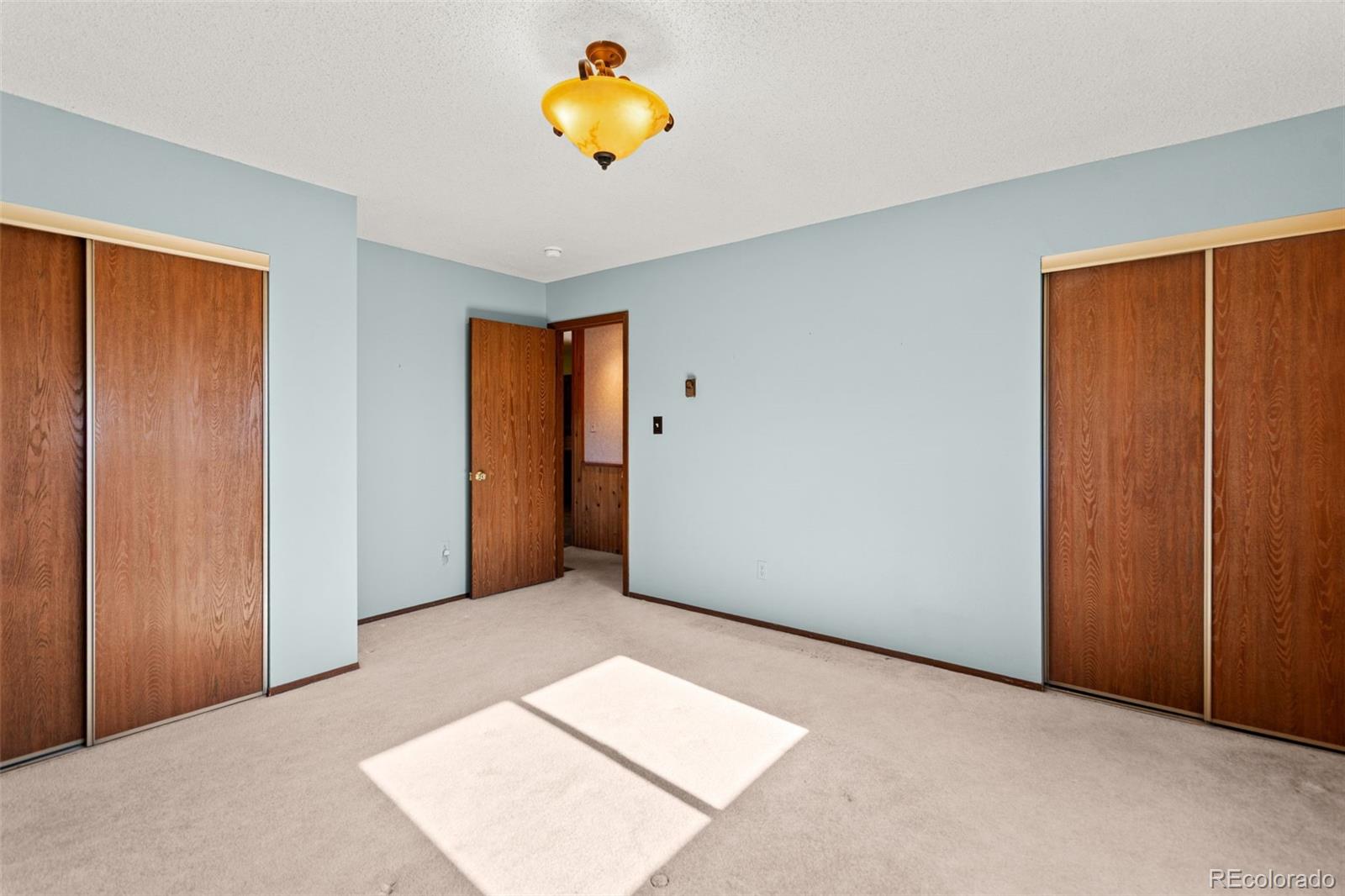 237 Homestead Road Bailey, CO 80421 - Photo 19 of 43 an empty room with windows and flowerpot