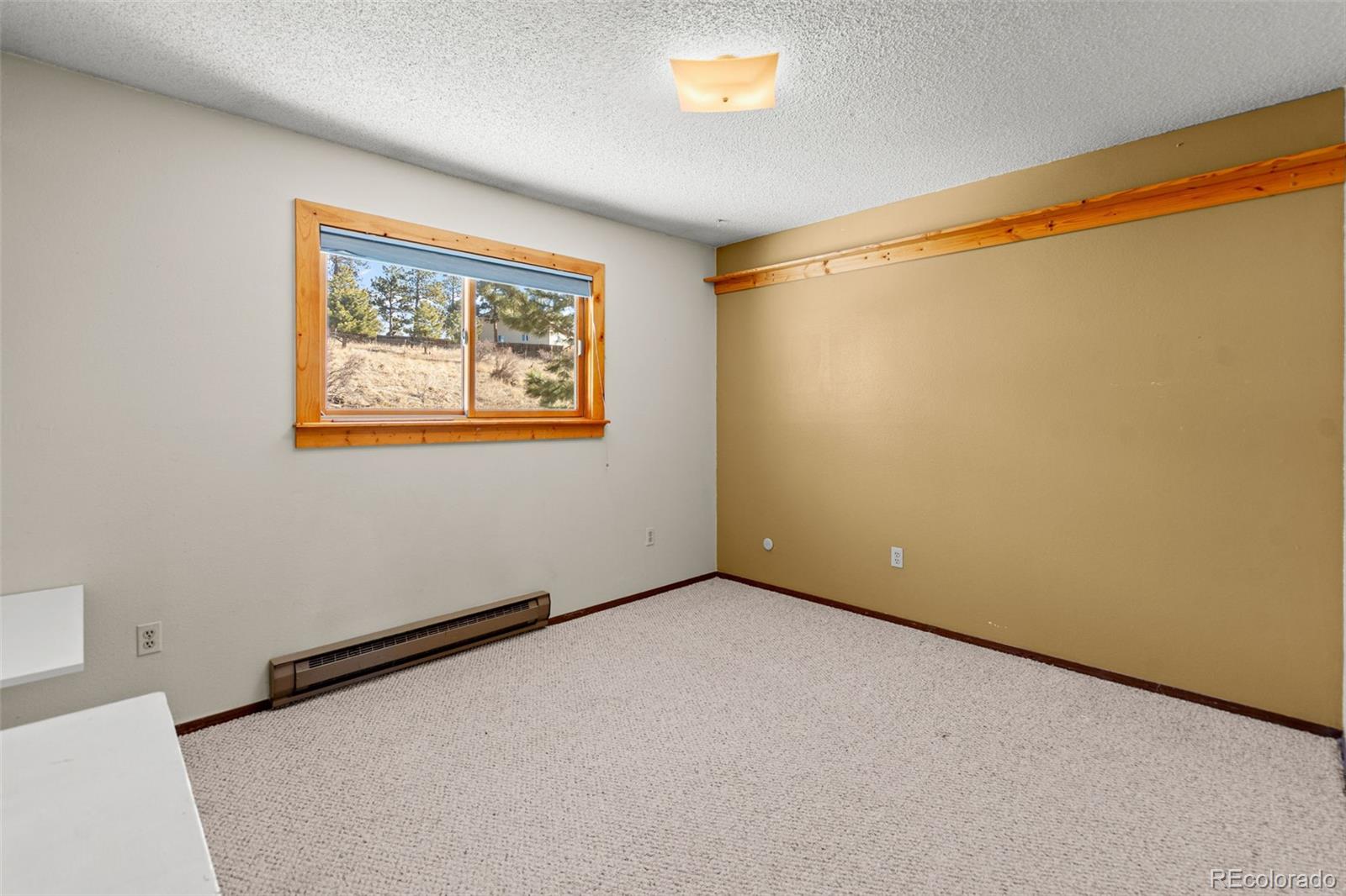 237 Homestead Road Bailey, CO 80421 - Photo 21 of 43 a view of an empty room
