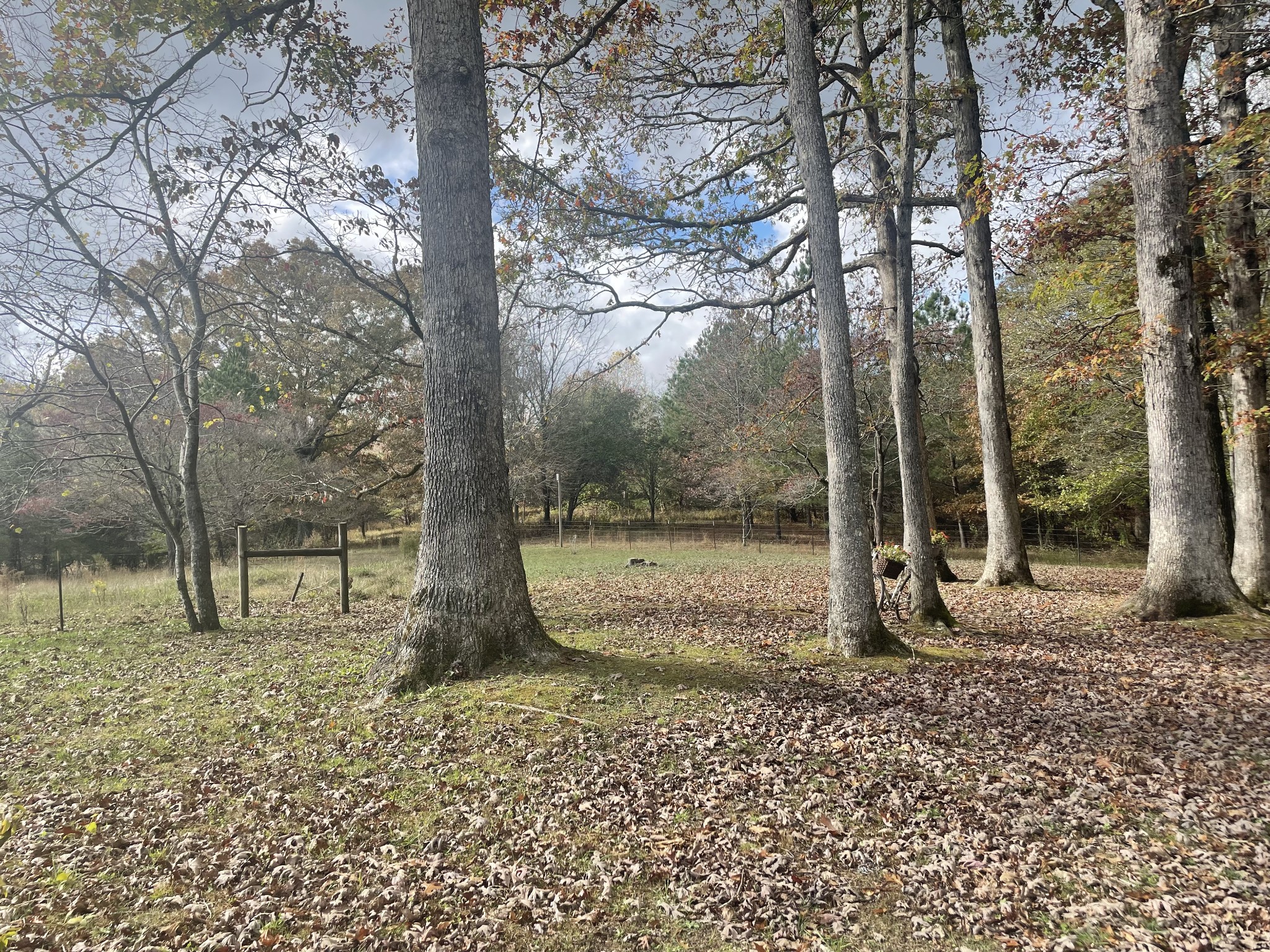 588 Caldwell Road Sewanee, TN 37375 - Photo 16 of 20 Gallery Image 16
