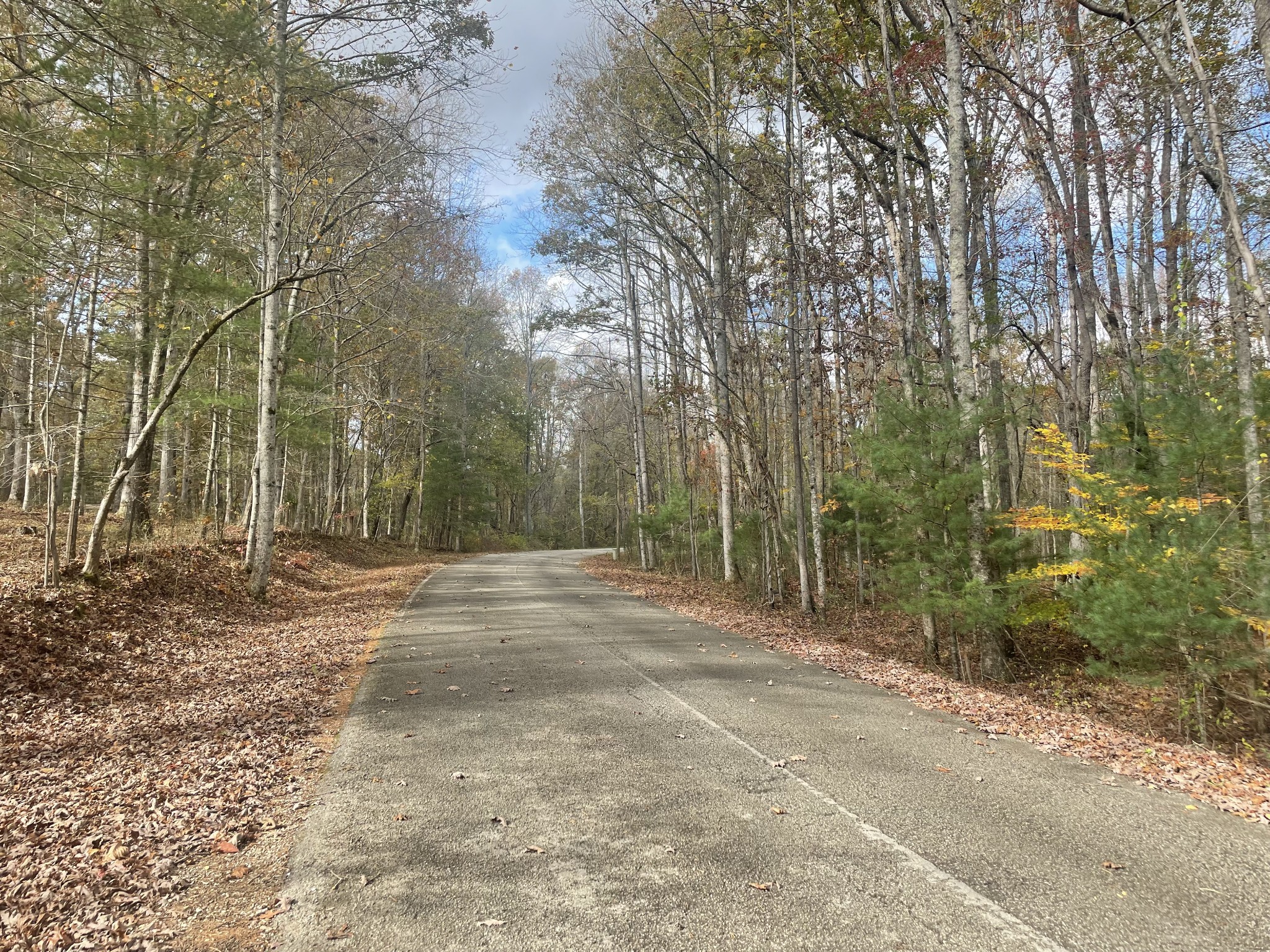 588 Caldwell Road Sewanee, TN 37375 - Photo 17 of 20 Gallery Image 17