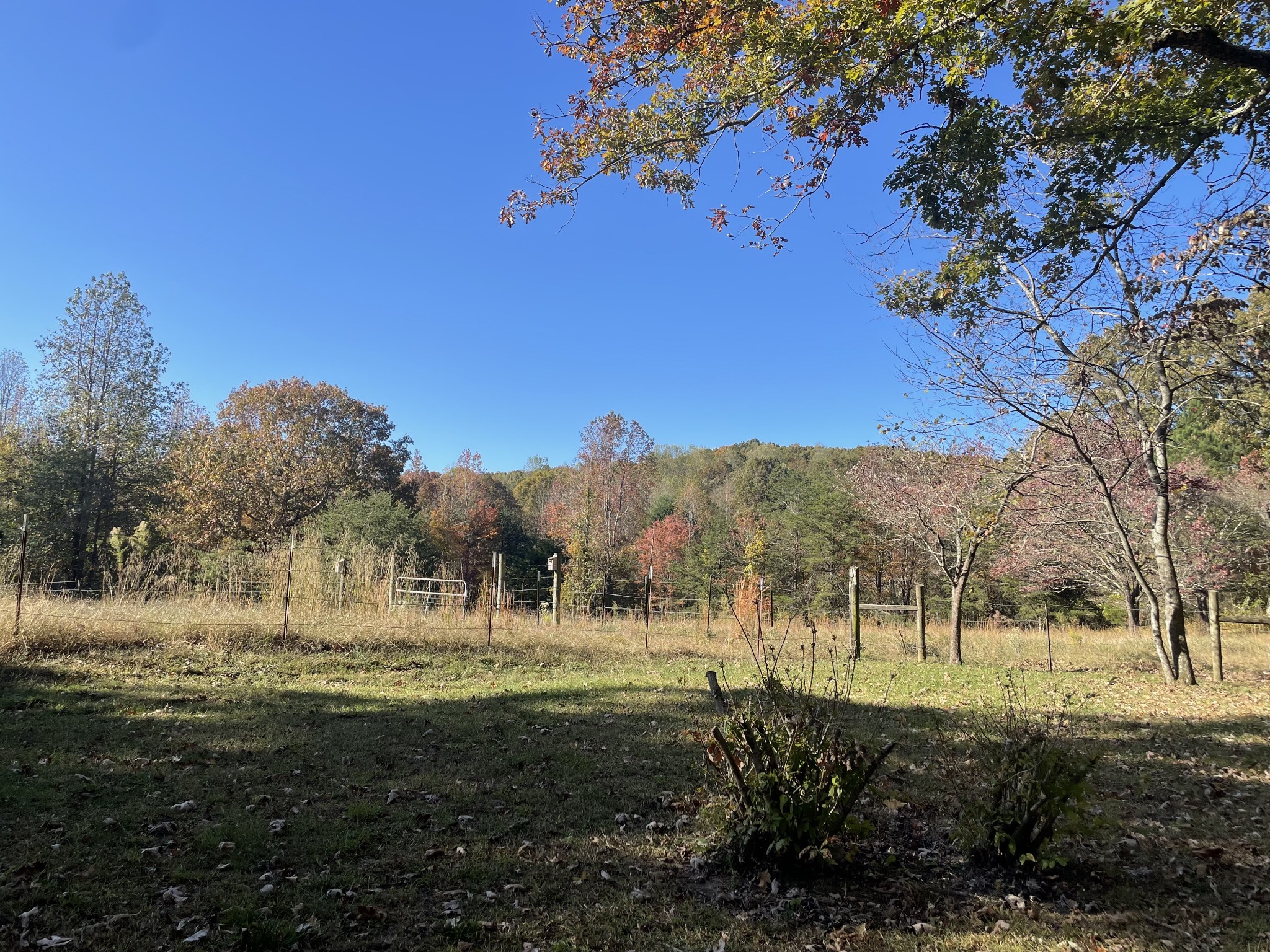 588 Caldwell Road Sewanee, TN 37375 - Photo 2 of 20 Gallery Image 2