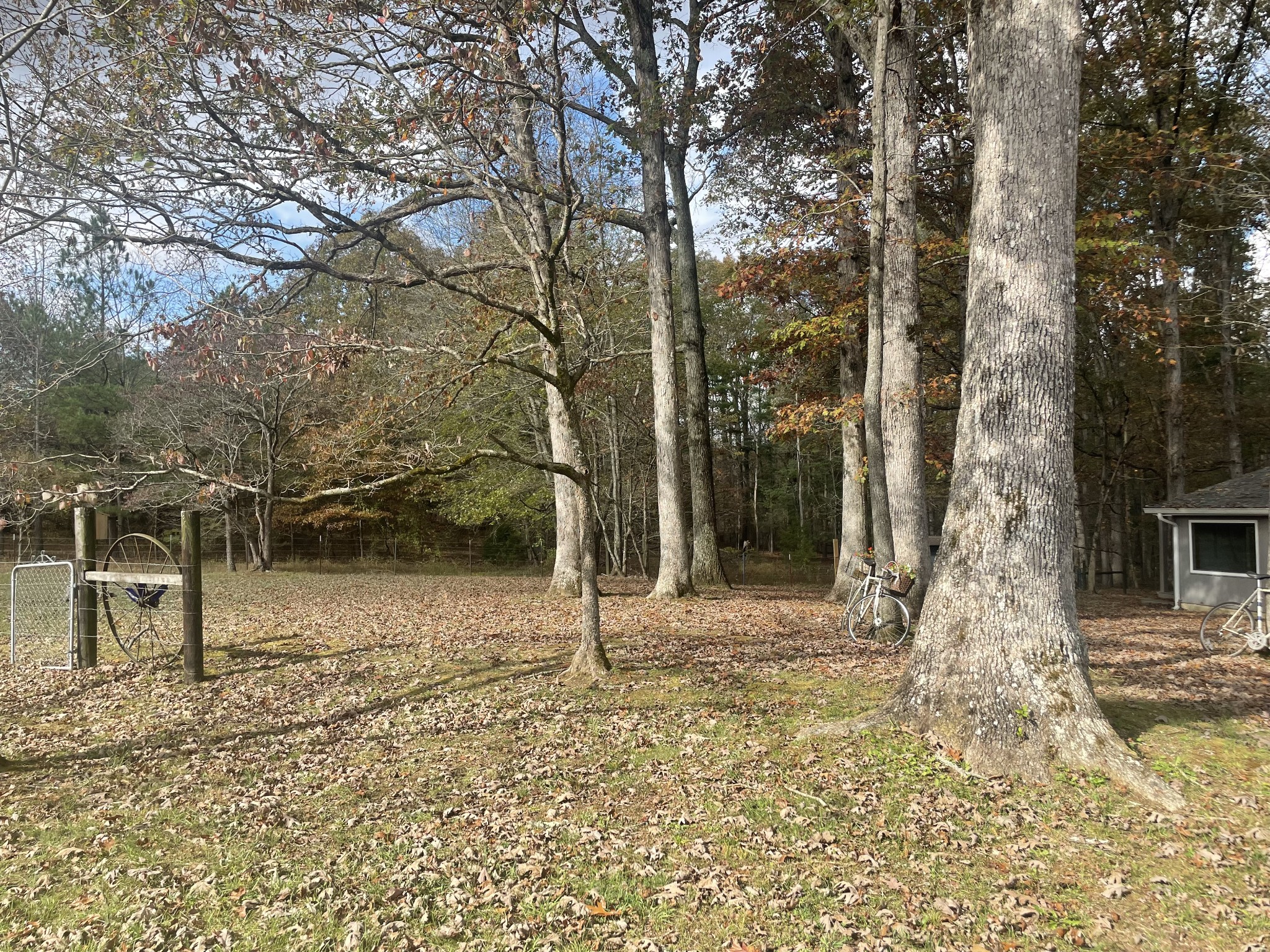 588 Caldwell Road Sewanee, TN 37375 - Photo 5 of 20 Gallery Image 5