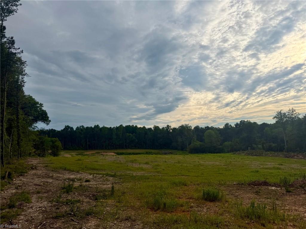 1000 Tarry Church Road Star, NC 27356 - Photo 5 of 10