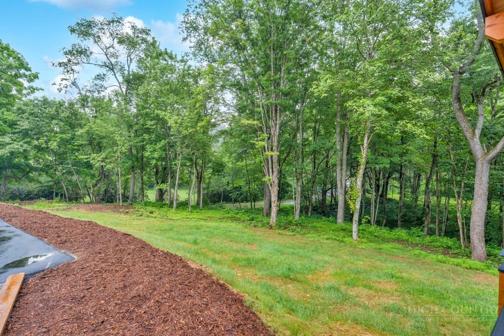 116 Coyote Trail Boone, NC 28607 - Photo 42 of 48